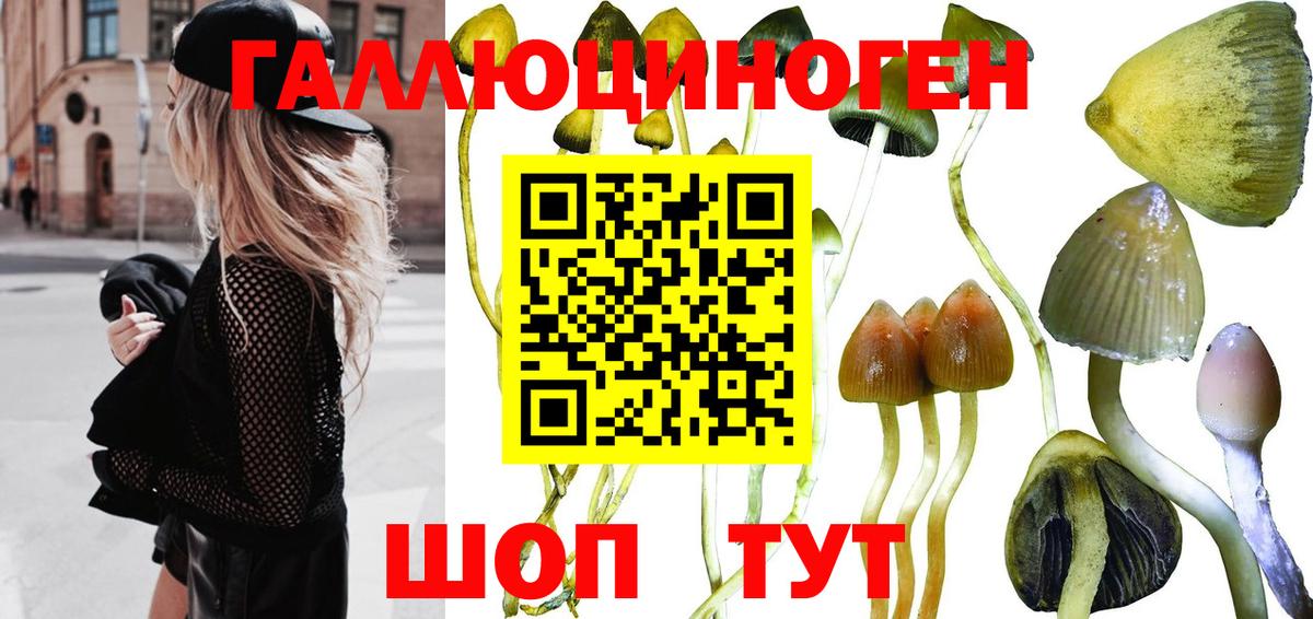 Галлюциногенные грибы MAGIC MUSHROOMS Шарыпово